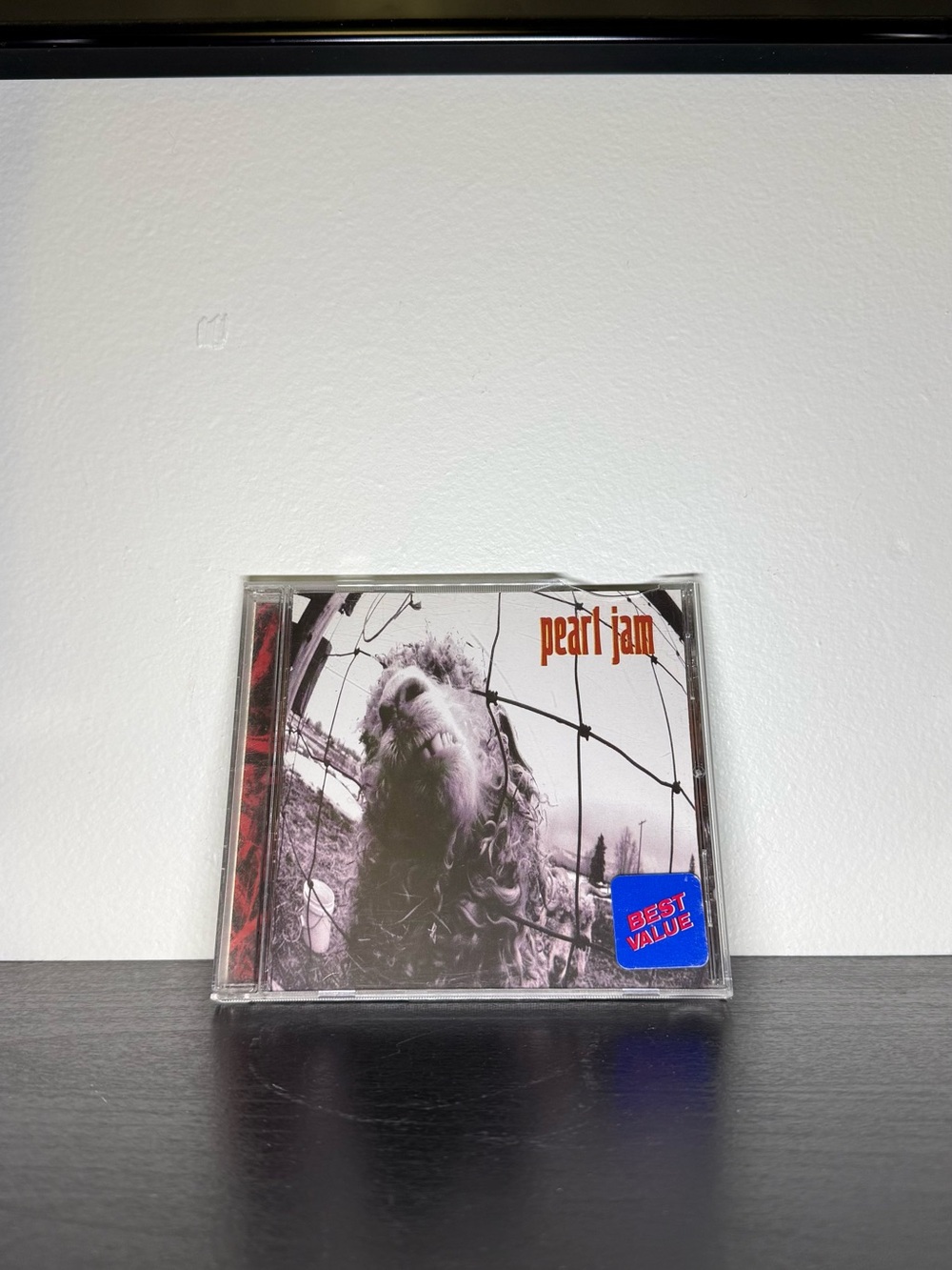 Vintage 1990s Pearl Jam Versus / Vs CD Music Album Disc